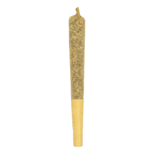 Vertical 7, Mac 7 - Flower, Pre Rolls - THC 24.9% - 3x0.5gr (vet)